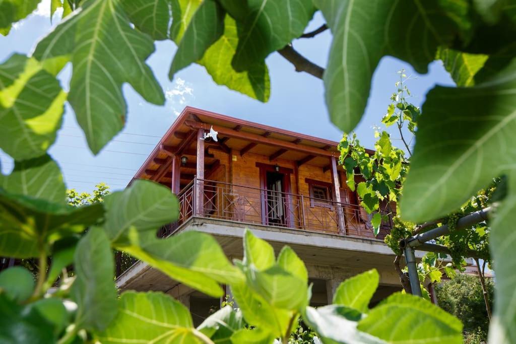 شقة Wooden House In يانينة المظهر الخارجي الصورة