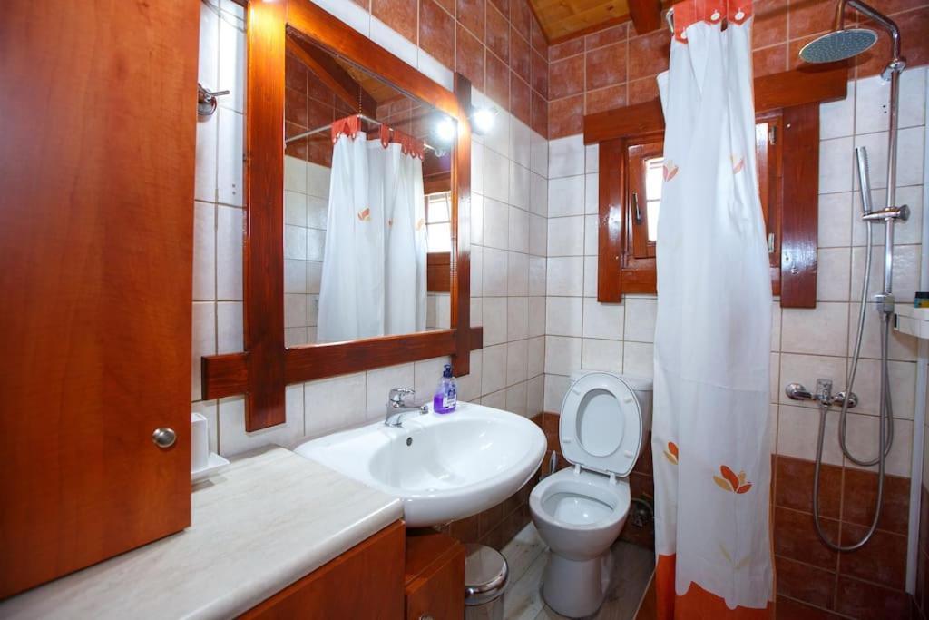 شقة Wooden House In يانينة المظهر الخارجي الصورة